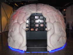 Nachbildung eines
menschlichen Gehirns